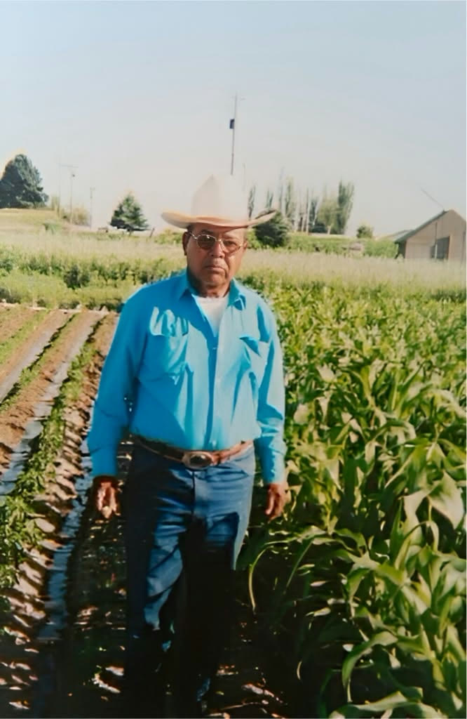 El abuelo de Isaías parado entre surcos de cultivo, con sombrero vaquero, lentes y camisa azul de manga larga, junto a milpas de maíz.